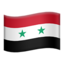 🇸🇾